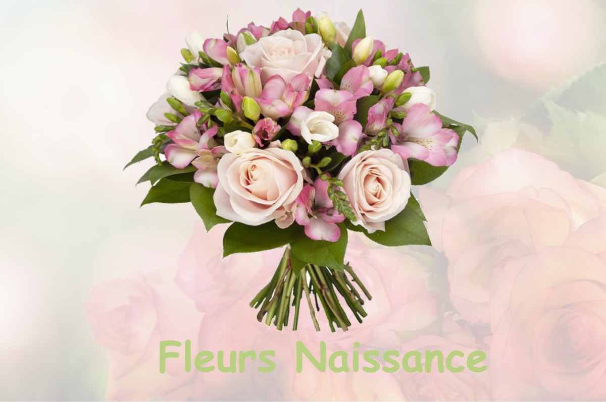 fleurs naissance SAINT-PIERRE-LES-BITRY